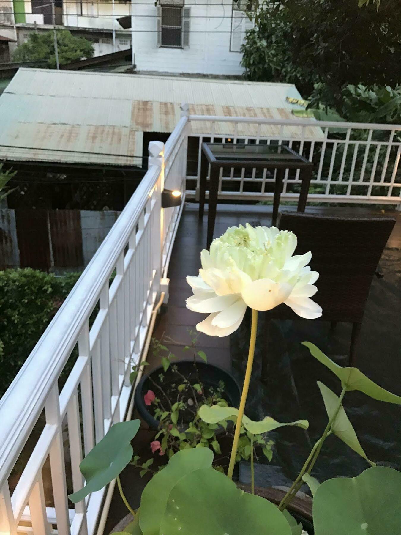 Baankachitpan Bangkok Hotel Eksteriør billede